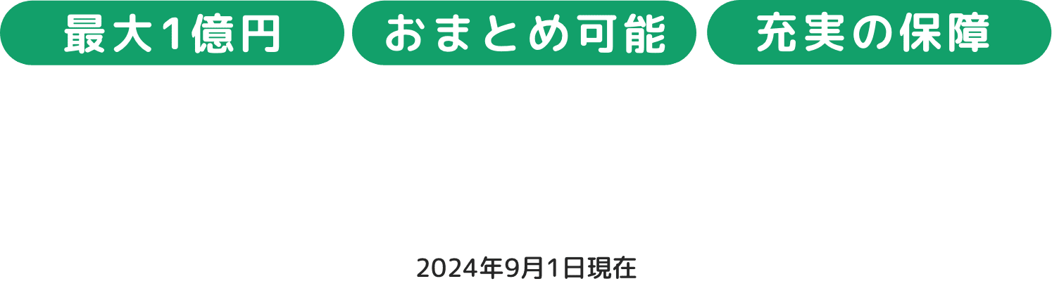 新規申し込み時の金利についての説明